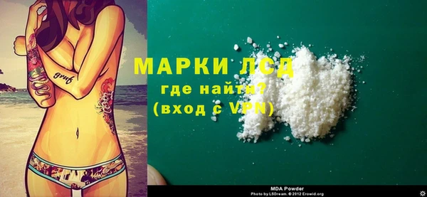 стаф Горняк