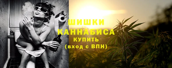 стаф Горняк