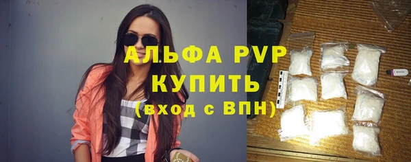 стаф Горняк