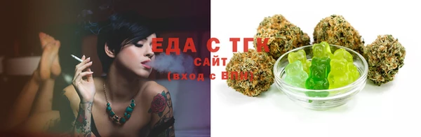 spice Гусиноозёрск