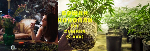 хмурый Гусев