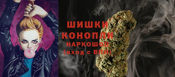 хмурый Гусев