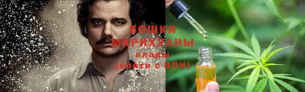 хмурый Гусев